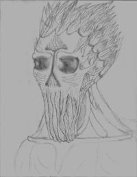 Dregs.jpg