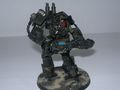 Experimental Sentinel.JPG